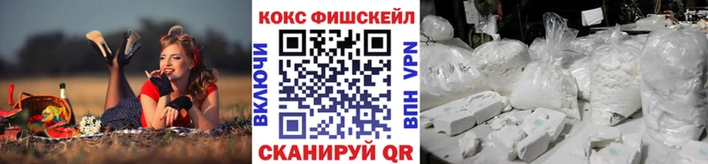 мега вход Кашин COCAIN Fish Scale